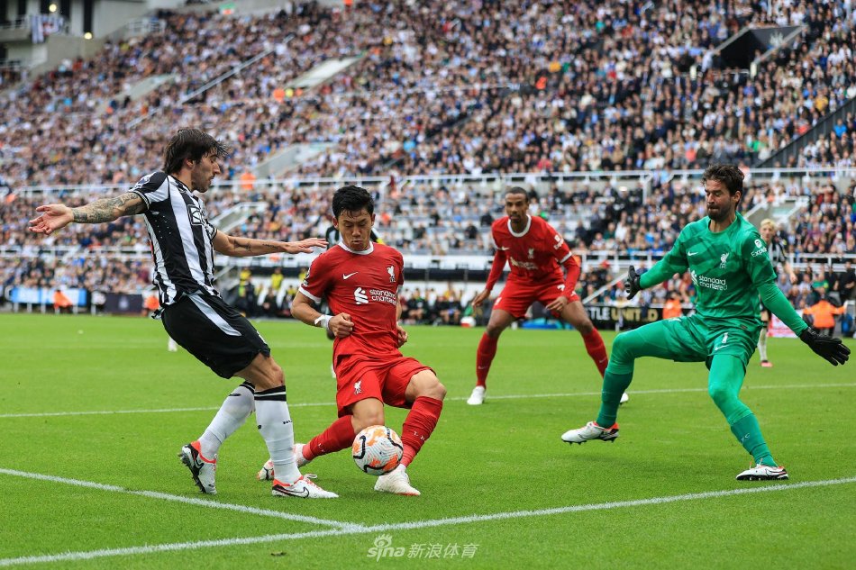 任何略显迟 任何略显迟